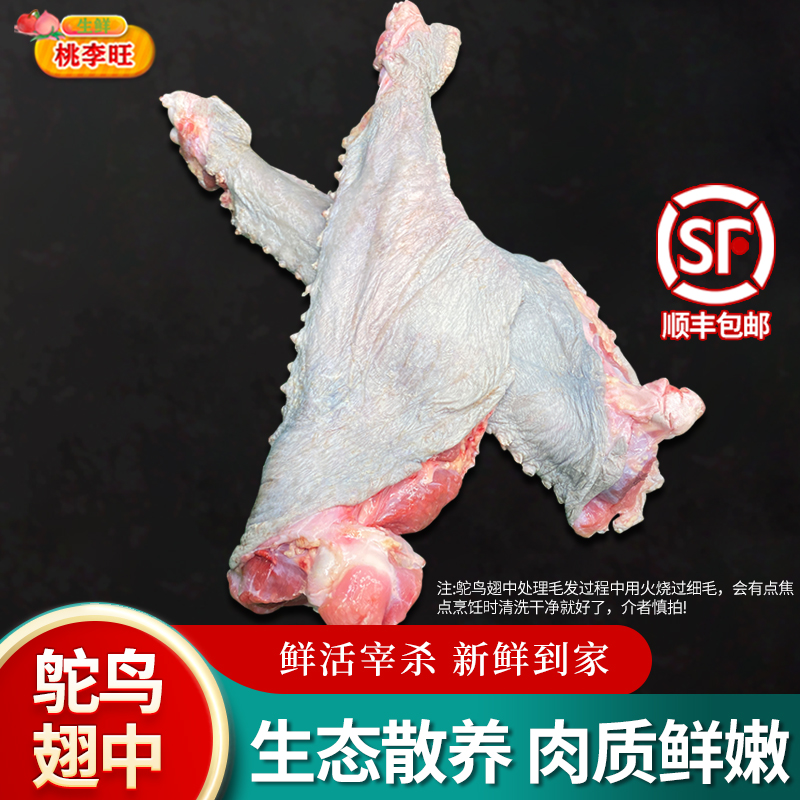 新鲜鸵鸟翅鸟肉鸵鸟掌筋