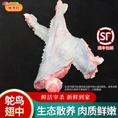 鸵鸟翅 筋 新鲜现杀鸵鸟肉生鲜翅中农家散养精修纯瘦驼鸟肉鸵鸟掌