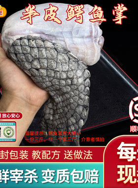 半皮鳄鱼掌肉鲜活宰杀3斤