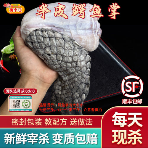 半皮鳄鱼掌肉鲜活宰杀3斤