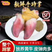 新鲜牛蹄 火烧带骨带牛蹄筋商用整只牛掌 短黄牛蹄子整个原切牛脚