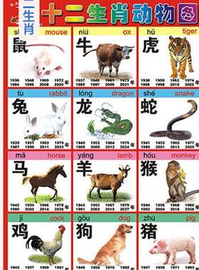 十二生肖图片画十二生肖动物图宝宝海报早教认物幼儿童挂图识字启