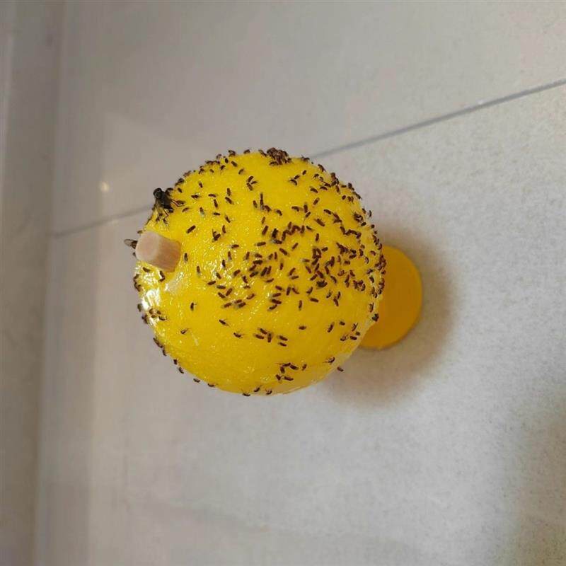 蚊虫贴纸室内飞虫果蝇球苍蝇除虫水果店厨房卫生间粘杀蚊蝇蛾家用
