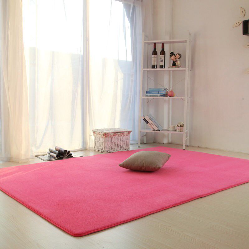 Beautiful Room balcony carpet wear-resisting household Cushion bedroom floor lovely summer motion Blanket Sleepin the Home Fabric , Carpet  category - from Buy2taobao.com to provide professional Taobao agent buy service