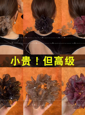 欧根纱满天星大肠发圈高级感头绳皮筋女扎头高弹力发绳丸子头发饰