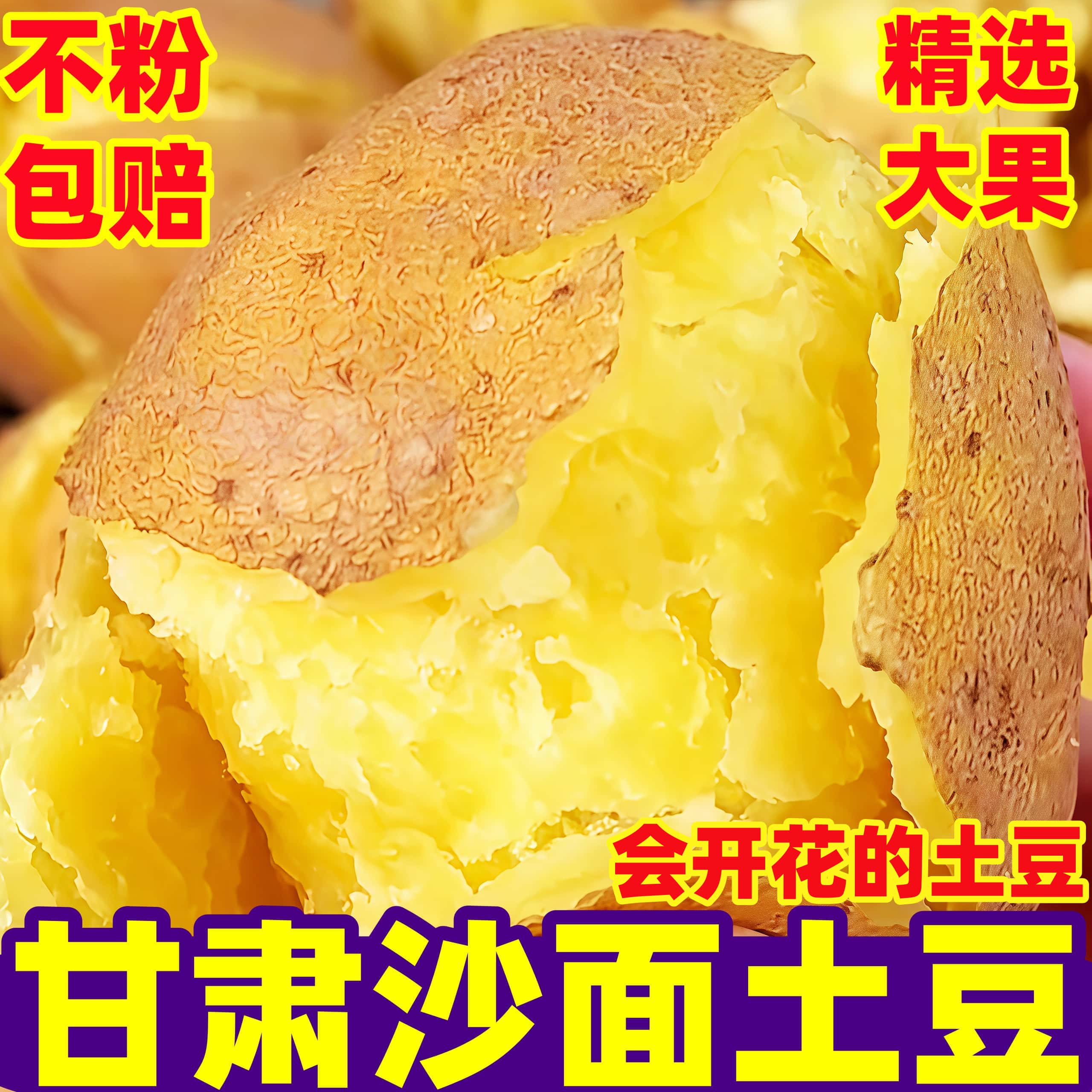 【沙面土豆推荐榜】官方推荐