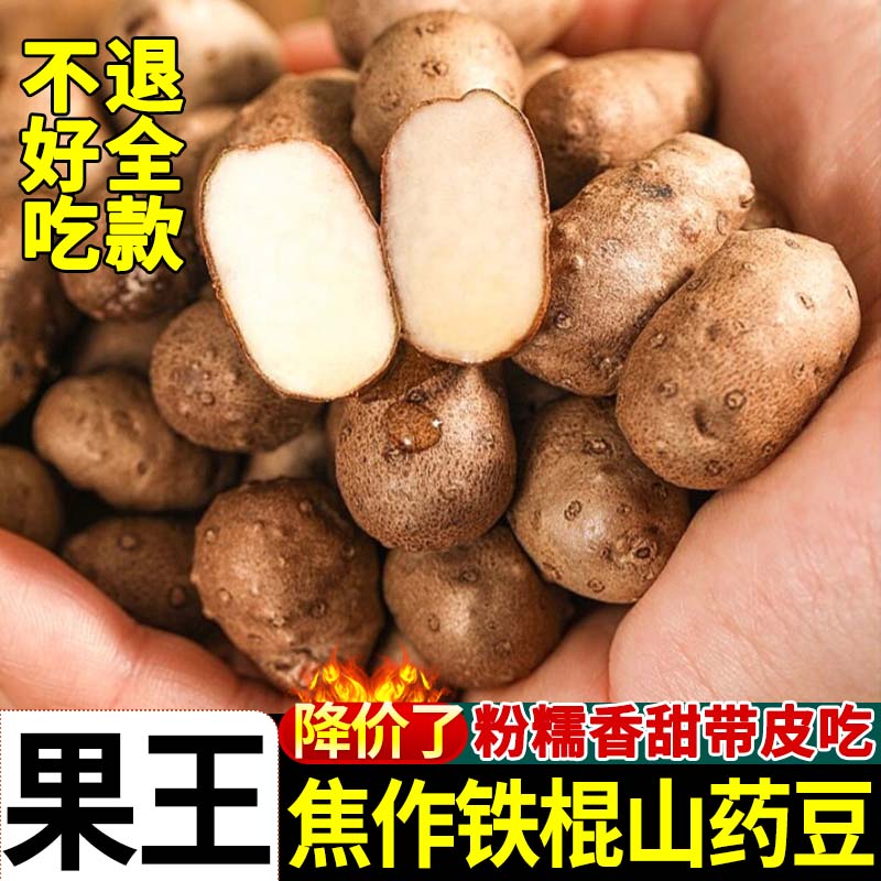 河南铁棍山药豆好评榜