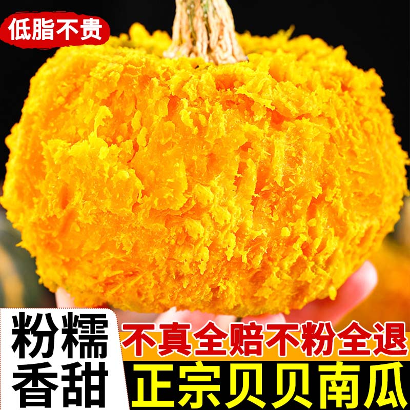 正宗惠和贝贝小南瓜推荐榜