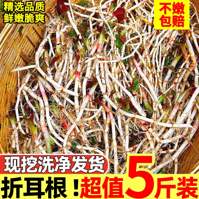 【鱼腥草力荐榜】官方力荐