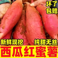正宗新鮮西瓜紅蜜薯10斤超甜糖心新鮮板栗番薯六鰲沙地紅薯地瓜糯