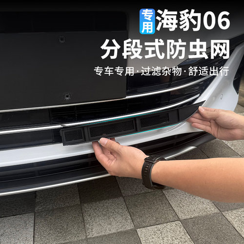 比亚迪海豹06分段式防虫网