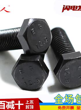 华人M6M8M10M1212.9级外六角螺丝高强度六角螺栓合金钢螺丝M12*70