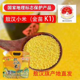 敖汉小米【金苗K1】敖汉旗产地直发黄小米月子米熬出米油