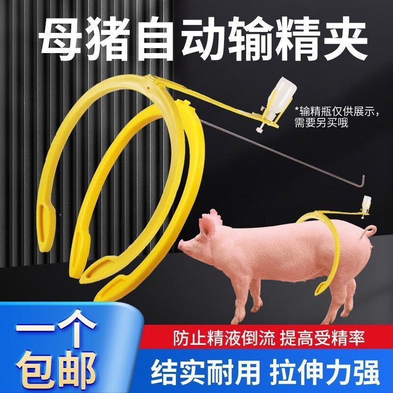养母猪用输精夹输精支架配猪架子架母猪授精夹子猪背夹猪人工设备