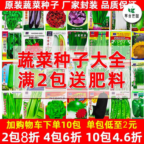 蔬菜种子大全四季播籽孑盆栽