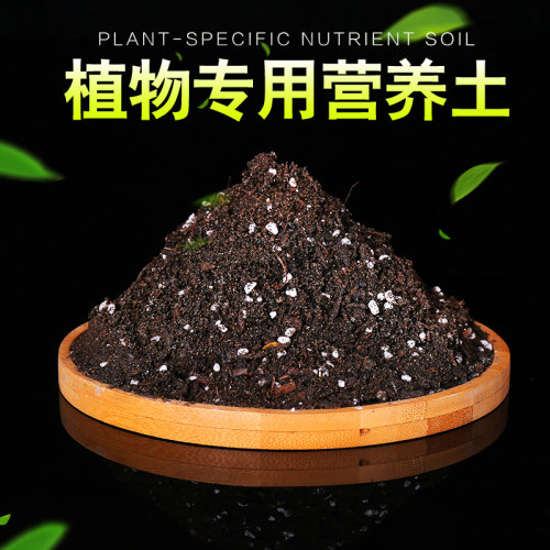 通用型绿萝花泥包邮营养土