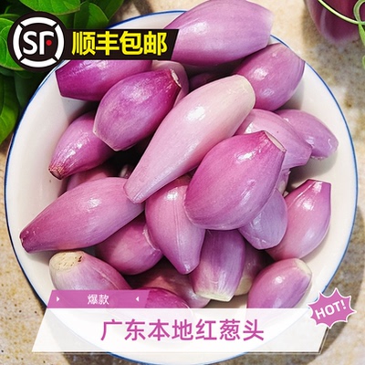 顺丰包邮广东本地红葱头去皮剥皮新鲜香葱真空包装食用熬葱油商用