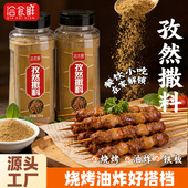 洽食鲜 家用商用炒菜烤肉炸串蘸料孜然撒料 烧烤调味撒料500g瓶装