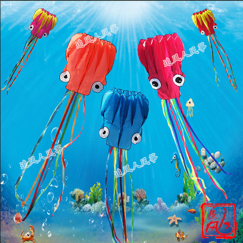 追风人成人大型高档无骨软体风筝