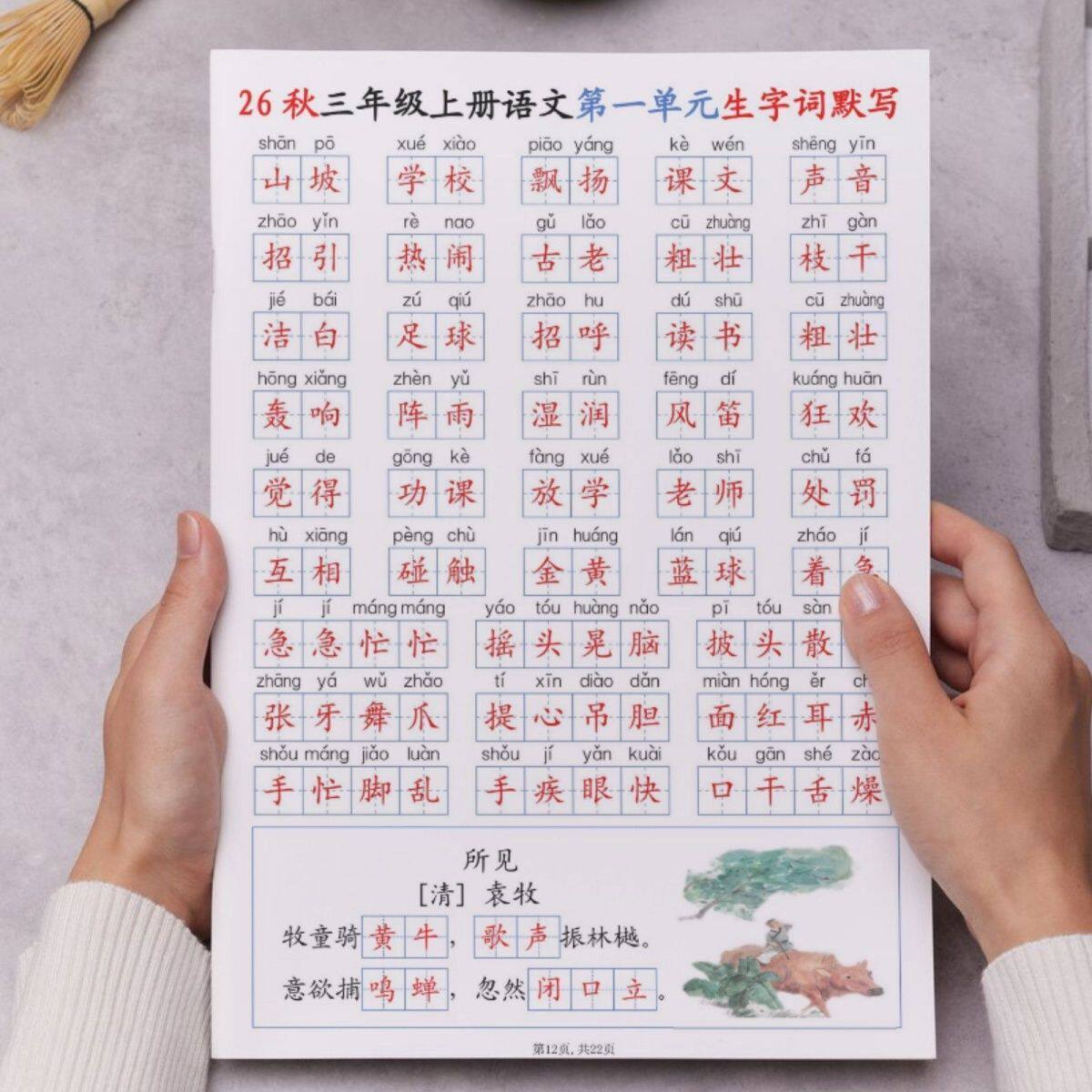 26秋三年级上册语文生字词默写日积月累含答案22页彩印练习本