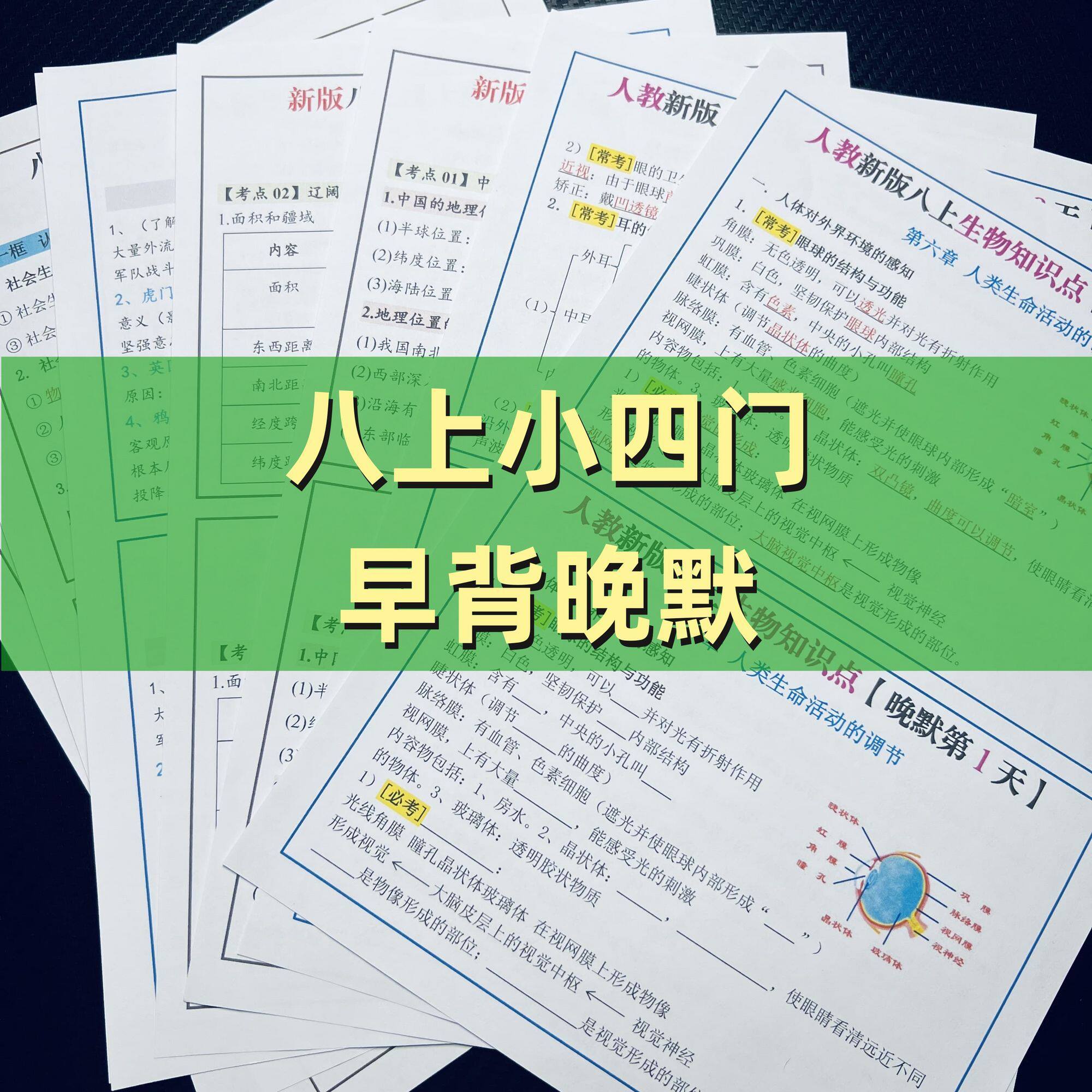 新版八年级上册小四门道