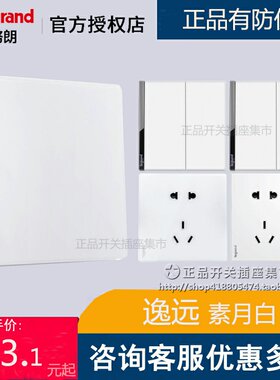 法国罗格朗逸远仿玻璃工艺面板