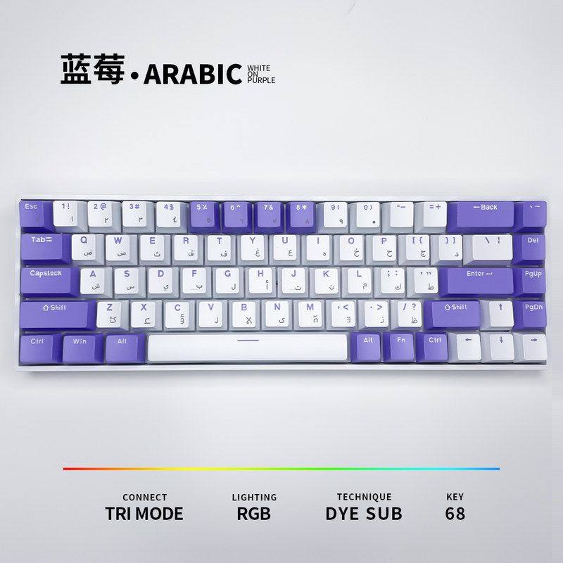 Arabic阿拉伯文蓝莓主题H68键位