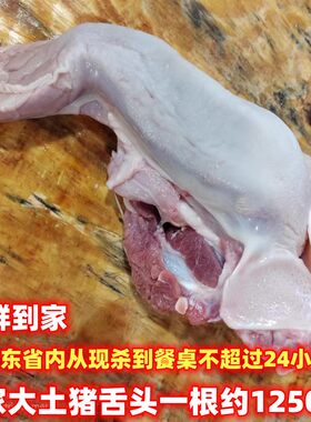 新鲜梅花猪肉猪板油猪心猪肺猪舌