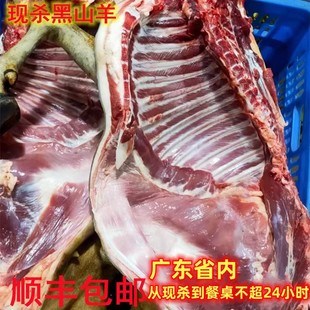 顺丰新鲜黑山羊肉韶关农家放养吃草黑山羊前排前后腿肉带皮整只