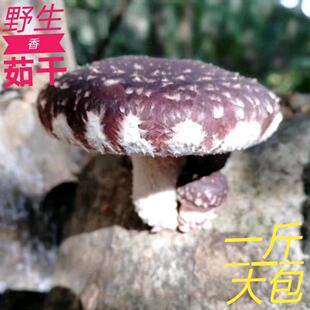 粤北韶关野生香菇特优新鲜晒干香菇干500g煲汤炖鸡炒肉花菇干