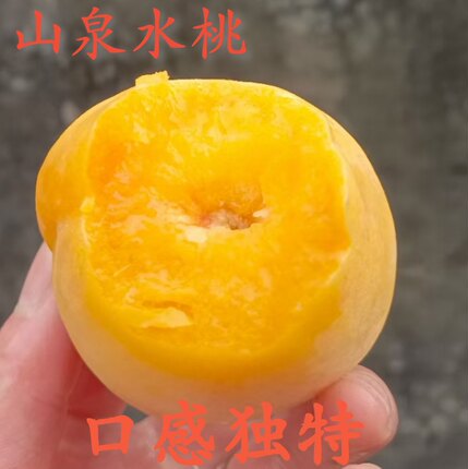 顺丰包邮新鲜黄桃现摘发10斤广东乐昌九峰山应季水果孕妇水果桃子
