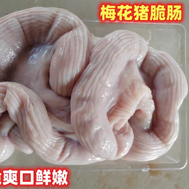 猪竹肠脆肠大肠梅花猪现杀