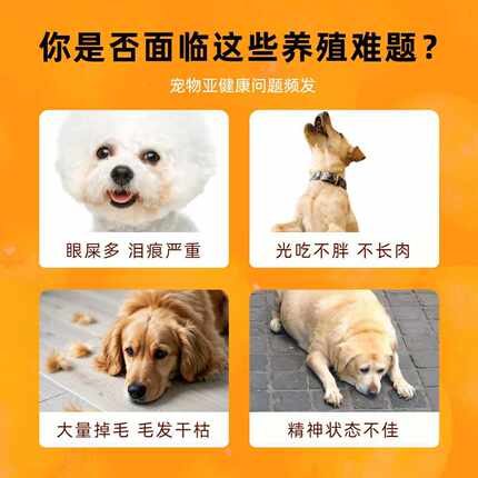 鑫大明宠物复合维生素片猫狗补充维生素营养