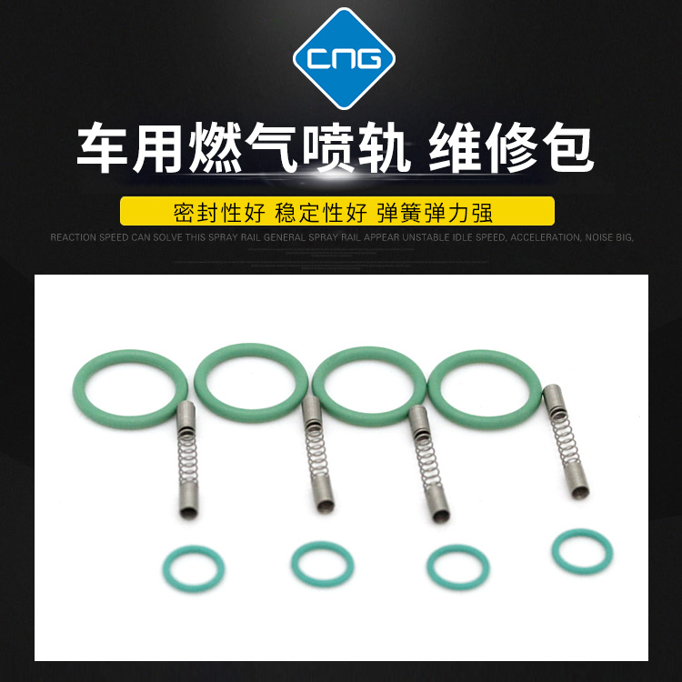 雪铁龙cng喷轨天然气汽车配件