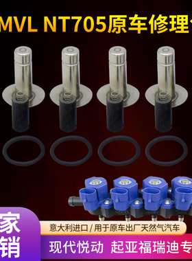 油改气配件伊兰特悦动福瑞迪nt401 601 603 NT705喷轨OMVL修理包