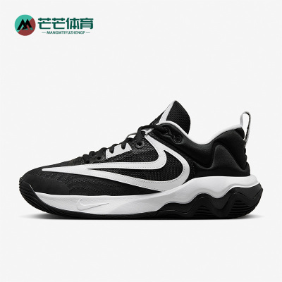 Nike/耐克正品新款Giannis男子运动实战篮球鞋DZ7534-003