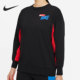 耐克正品 GET 女子DRY DA0392 套头衫 Nike FIT 010