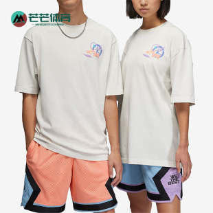 耐克正品 T恤DV7490 新款 Jordan男子运动休闲宽松短袖 030 Air Nike