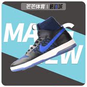 耐克正品 男子休闲运动板鞋 ZOOM HIGH Nike DUNK ELT 918287