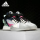 Adidas EG6875 男子缓震场上实战篮球鞋 阿迪达斯正品 POSTERIZE