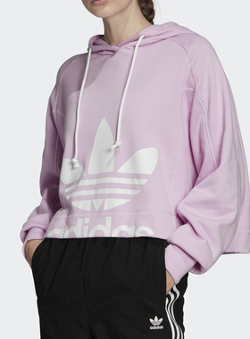 Adidas/阿迪达斯正品春季新款女子休闲运动连帽卫衣FM1745