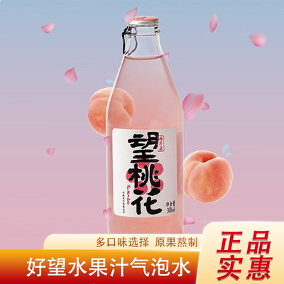 好望水果汁气泡水望山楂望桃花