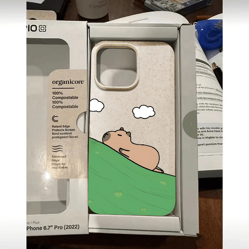 卡通小马适用苹果15PRO手机壳