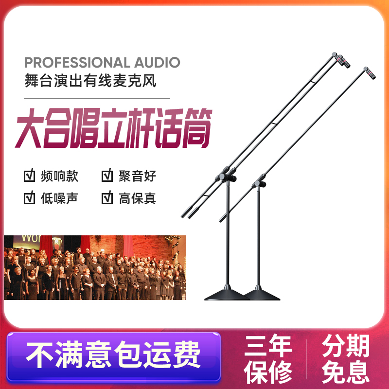 浮洛德 QY80 专业演讲话筒双立杆立式落地大合唱电容麦克风户双头