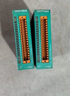 GEFRAN杰弗伦PLC模块F032132 R-MA6 拆机件二手 议价
