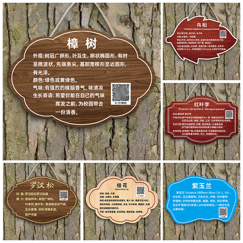 树木标识牌树牌挂牌树名介绍牌植物绿植提示挂牌简介牌公园树名标签