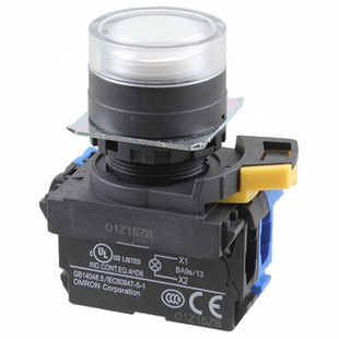 BGA G202 TWA G100 A22NL