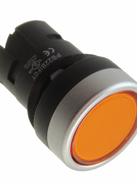 PB22BIF0Y | PB22BLRS21K | PB22BLRS31K