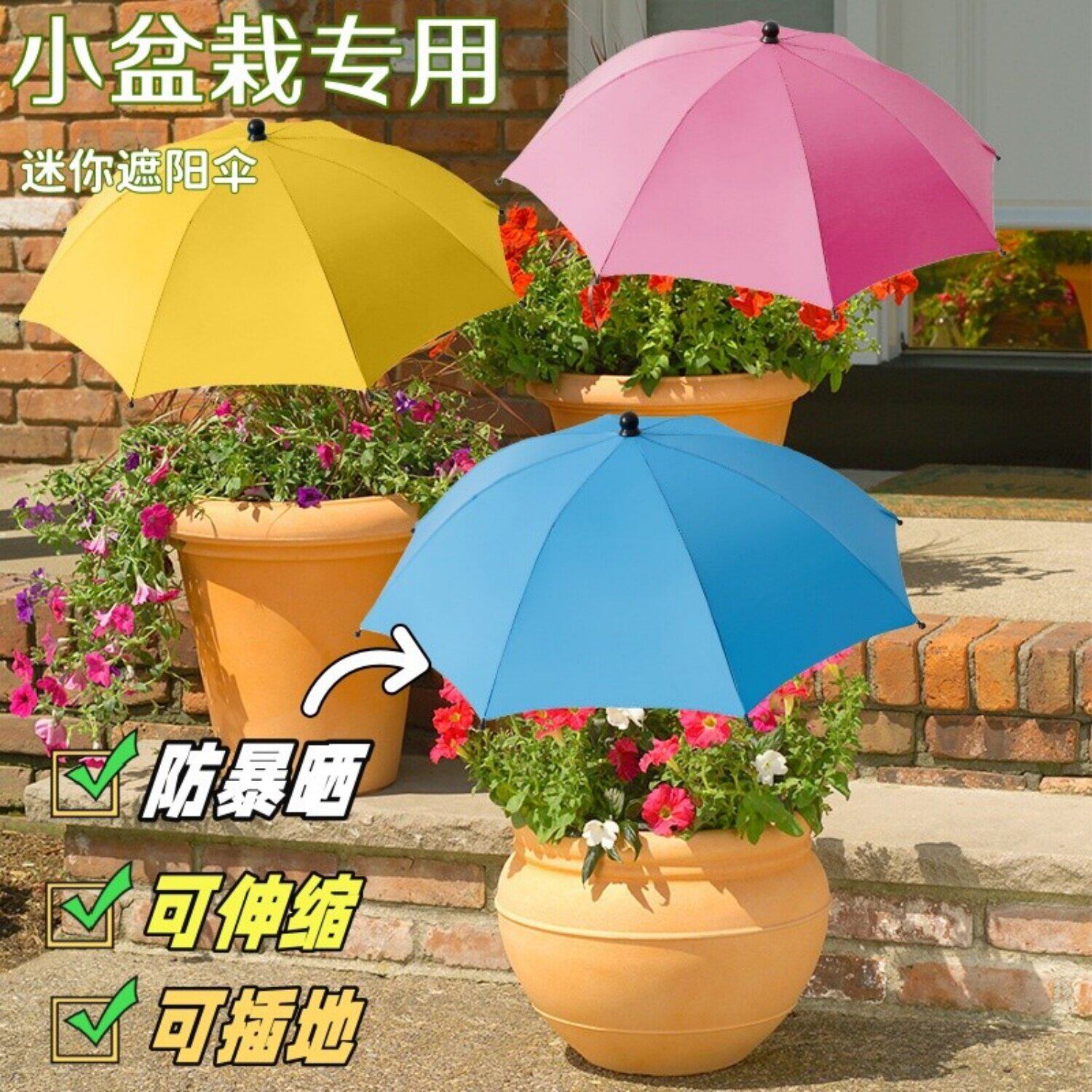 植物遮阳伞伸缩地插伞花园花卉小型盆栽保护伞夏季防暴晒隔热神器