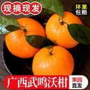 广西武鸣沃柑10斤新鲜水果当季 整箱皇帝沙糖蜜橘砂糖柑橘桔子橘子